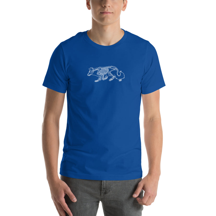 Border Collie skeleton line art t-shirt in True Royal Blue by Skeledog, front view
